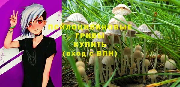 марки nbome Кинешма