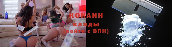 ПСИЛОЦИБИНОВЫЕ ГРИБЫ Александровское
